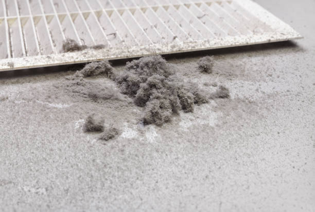 Best Duct Cleaning Specialists  in Thornton, IL