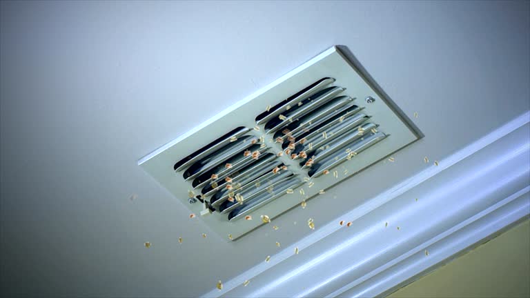 Best Home Air Vent Cleaning  in Thornton, IL