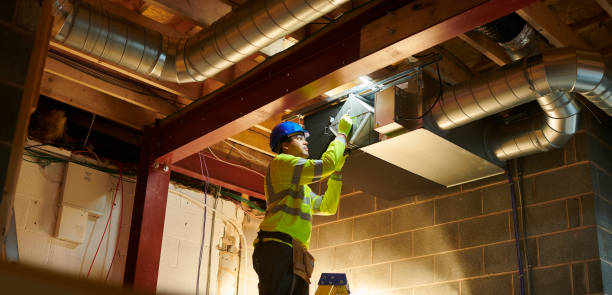 Best Professional Duct Cleaning Services  in Thornton, IL