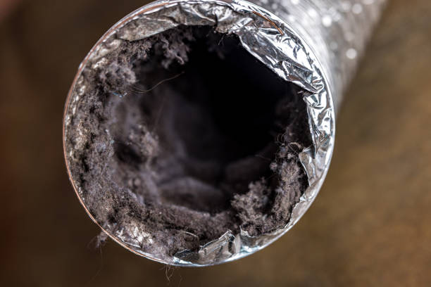 Best HVAC Air Duct Cleaning  in Thornton, IL