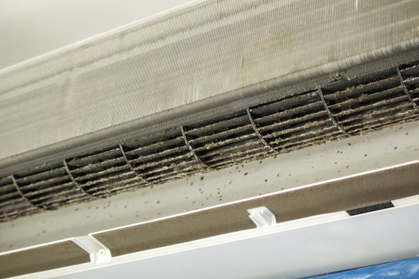 Best Best Air Duct Cleaning Company  in Thornton, IL